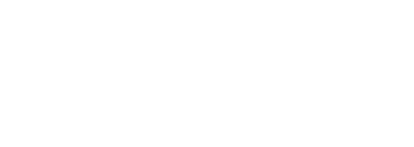 Romanovich Solutions